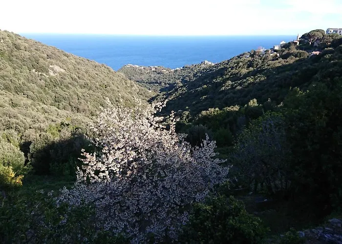 A Tana Di A Volpe *