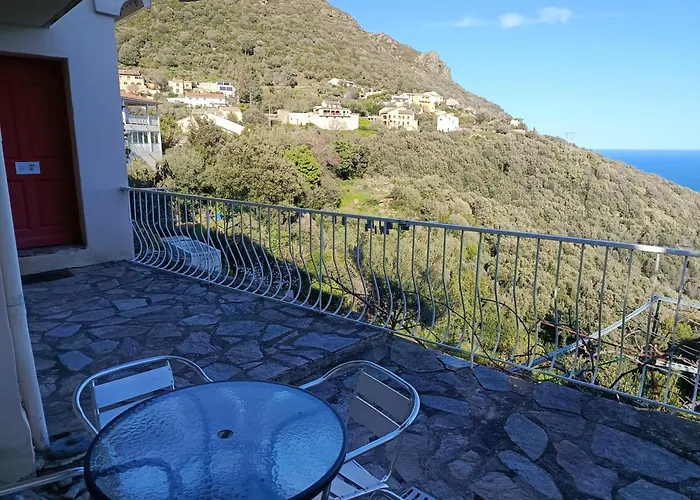 A Tana Di A Volpe Apartment