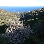 A Tana Di A Volpe *
