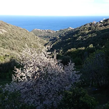 A Tana Di A Volpe *