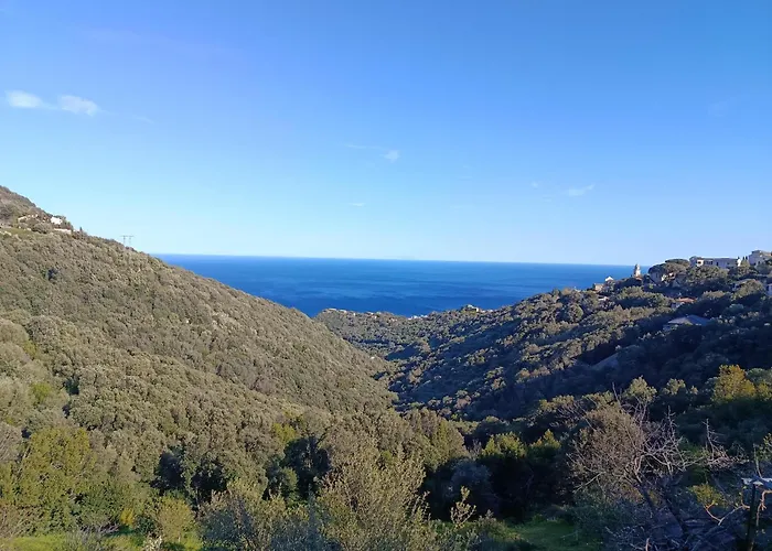A Tana Di A Volpe * Ville-di-Pietrabugno